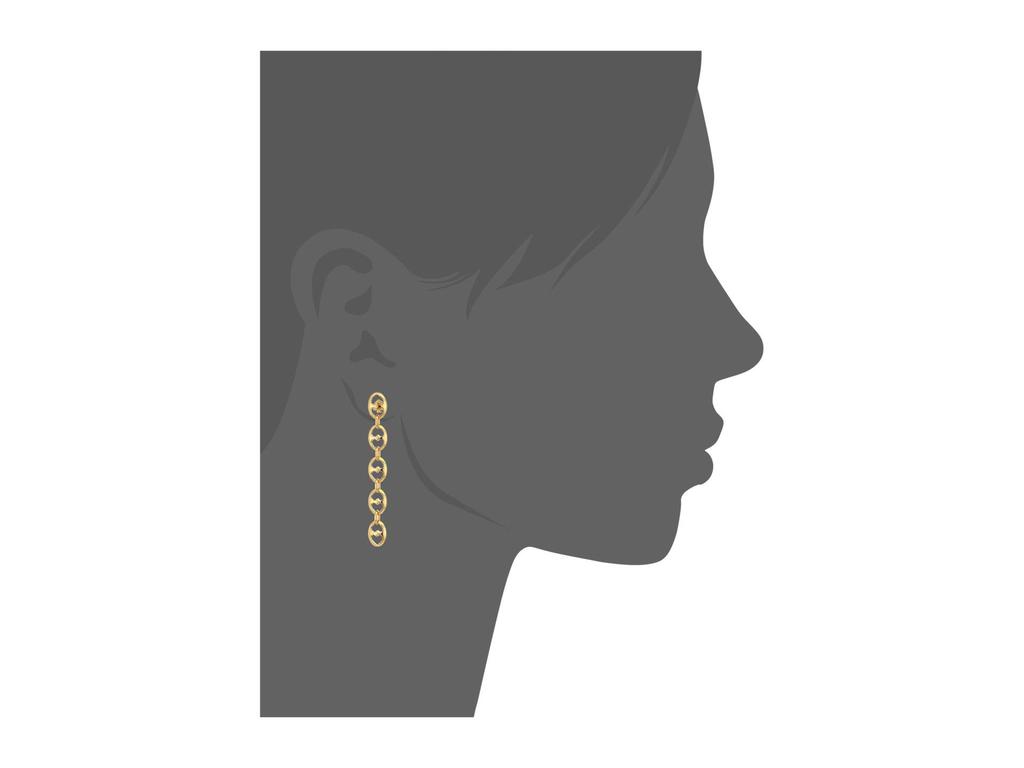 Duo Link Statement Linear Earrings商品第3张图片规格展示