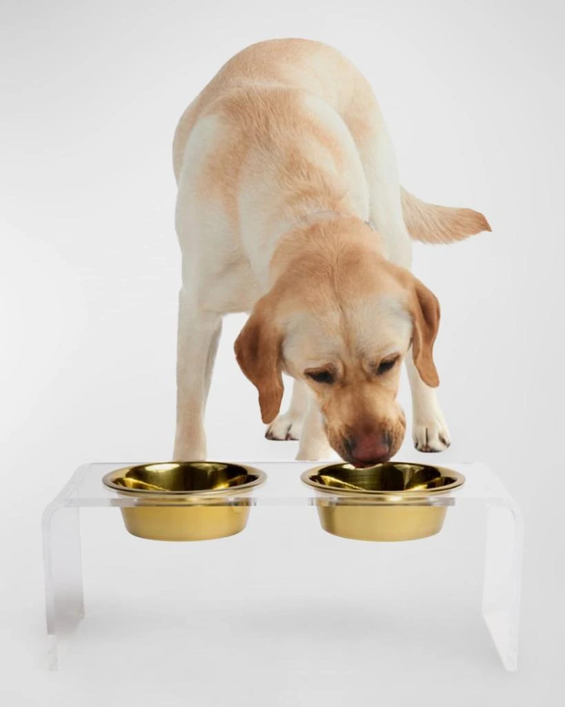 商品HIDDIN|Medium Clear Double Golden Bowl Pet Feeder, 1 Qt,价格¥815,第2张图片详细描述