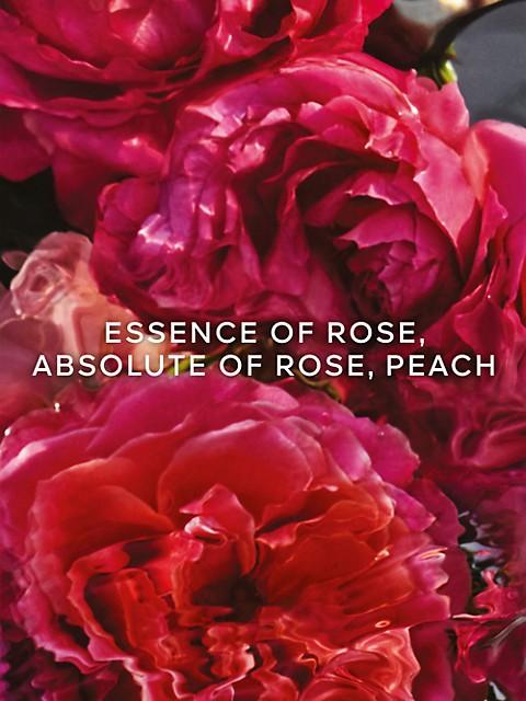 Aqua Allegoria Forte Rosa Rossa Eau De Parfum商品第3张图片规格展示