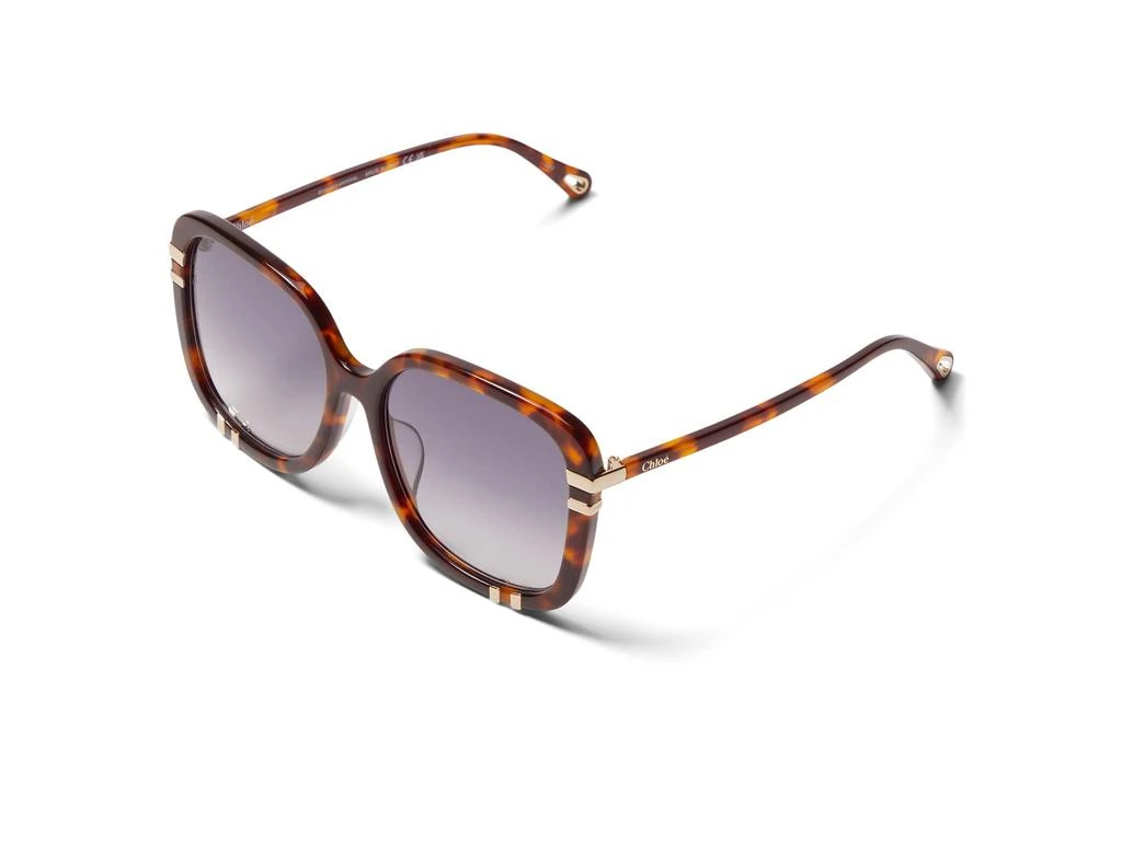 商品Chloé|CH0106SA,价格¥2362,第1张图片