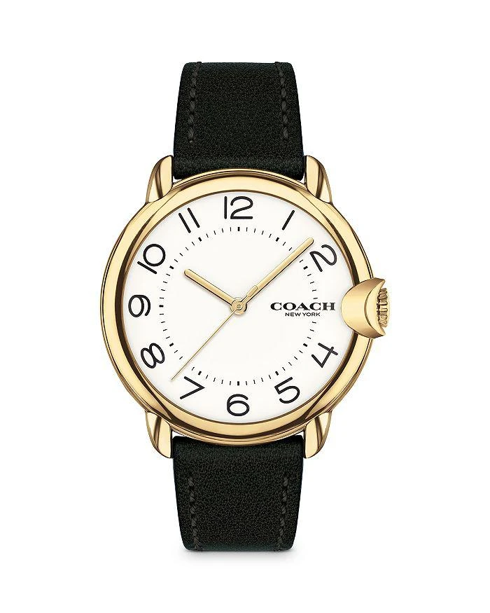 商品Coach|Arden Watch, 36mm,价格¥1404,第1张图片