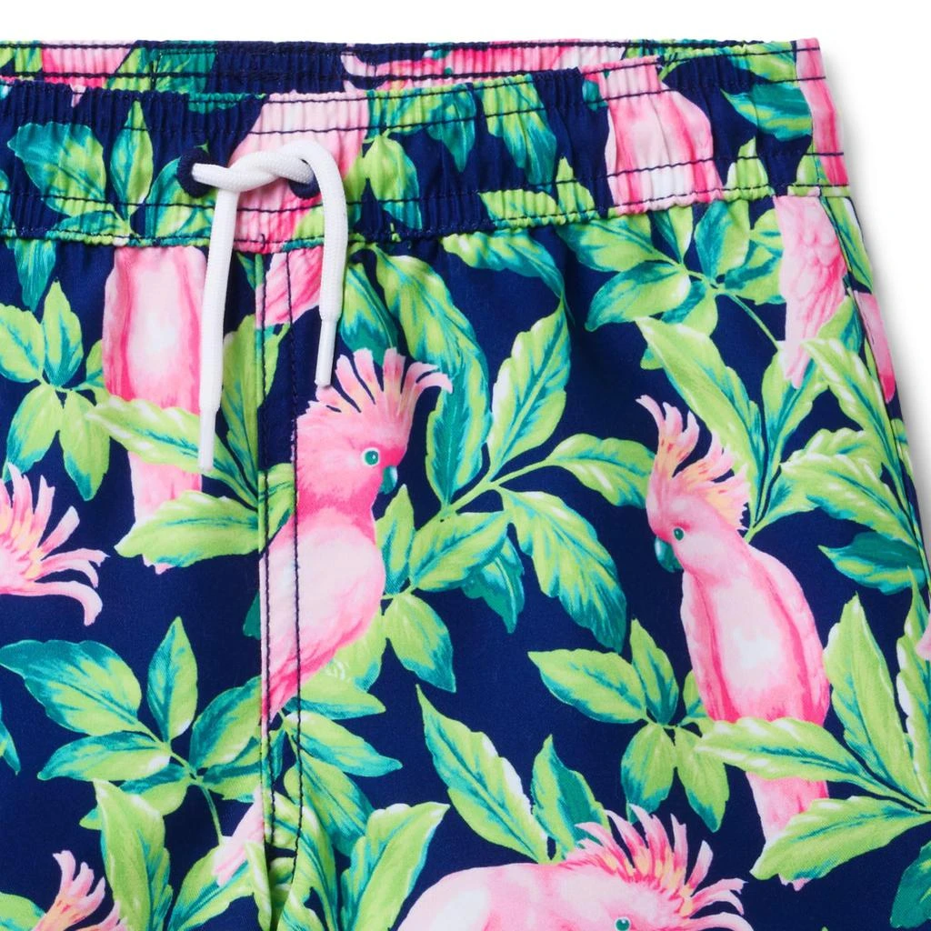 商品Janie and Jack|Boys Bird Print Swim Short (Toddler/Little Kid/Big Kid),价格¥263,第3张图片详细描述