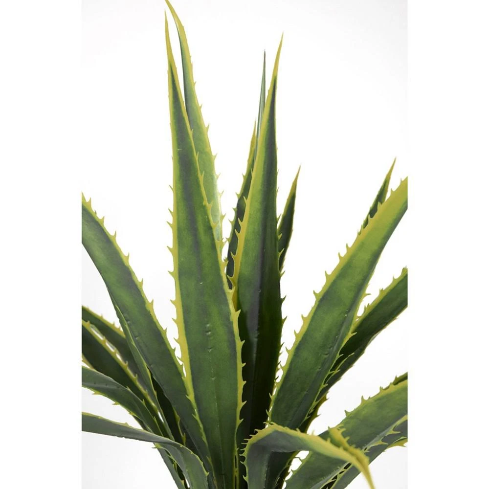 商品Vintage Home|67" Tall Real Touch Agave Plant in Resin Planter,价格¥6344,第2张图片详细描述