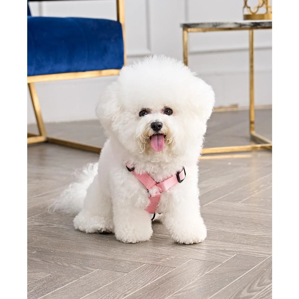 Bling Velour Pet Harness and Leash 2 Piece Set, Extra Small 商品