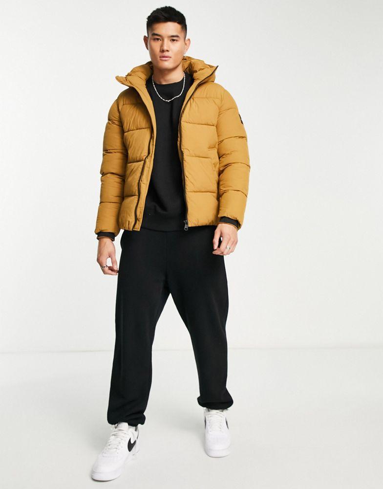 Calvin Klein crinkle nylon hooded puffer jacket in tan商品第3张图片规格展示