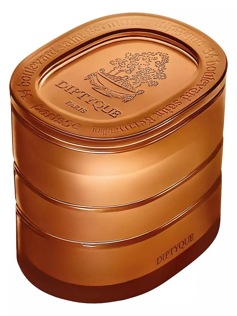 商品Diptyque|Terres Blondes (Golden Lands) Refillable Candle,价格¥2136,第5张图片详细描述