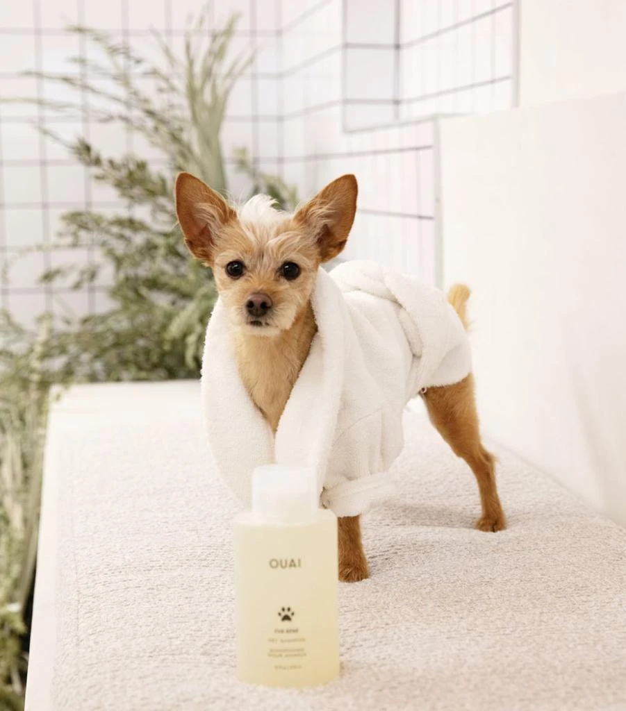 商品OUAI|Fur Bébé Pet Shampoo (474ml),价格¥308,第5张图片详细描述