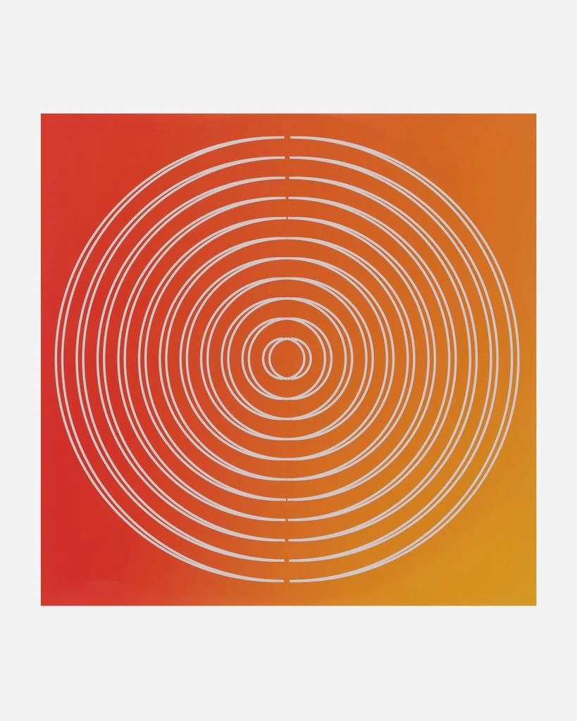 商品Houseplant|Double LP Party Vinyl,价格¥555,第3张图片详细描述