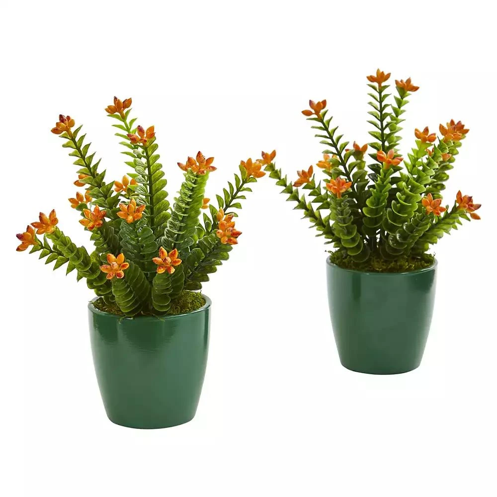 商品NEARLY NATURAL|Sedum Succulent Artificial Plant in Green Planter, Set of 2,价格¥665,第1张图片