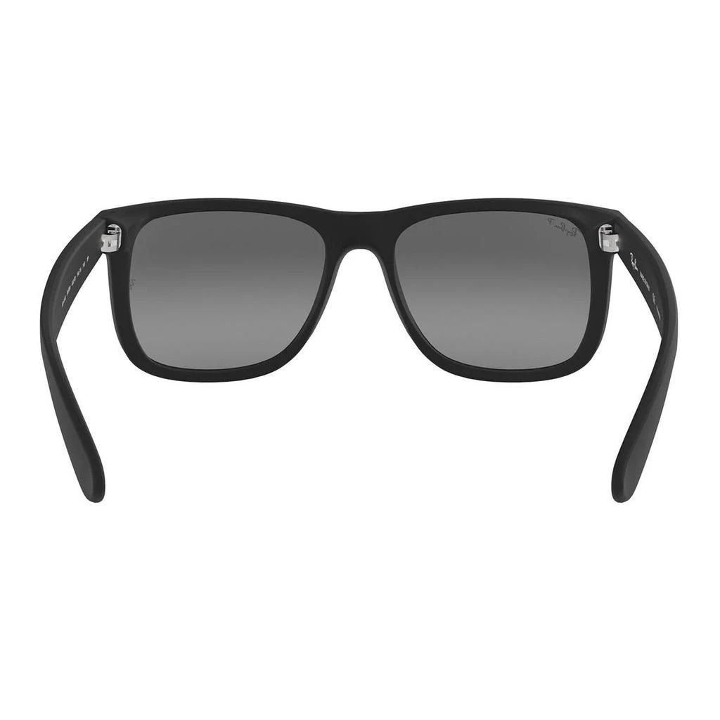 商品Ray-Ban|RAY-BAN Sunglasses,价格¥1355,第5张图片详细描述