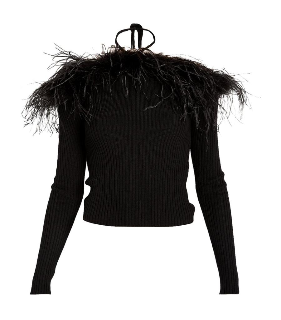 Feather-Trimmed Off-The-Shoulder Sweater商品第1张图片规格展示