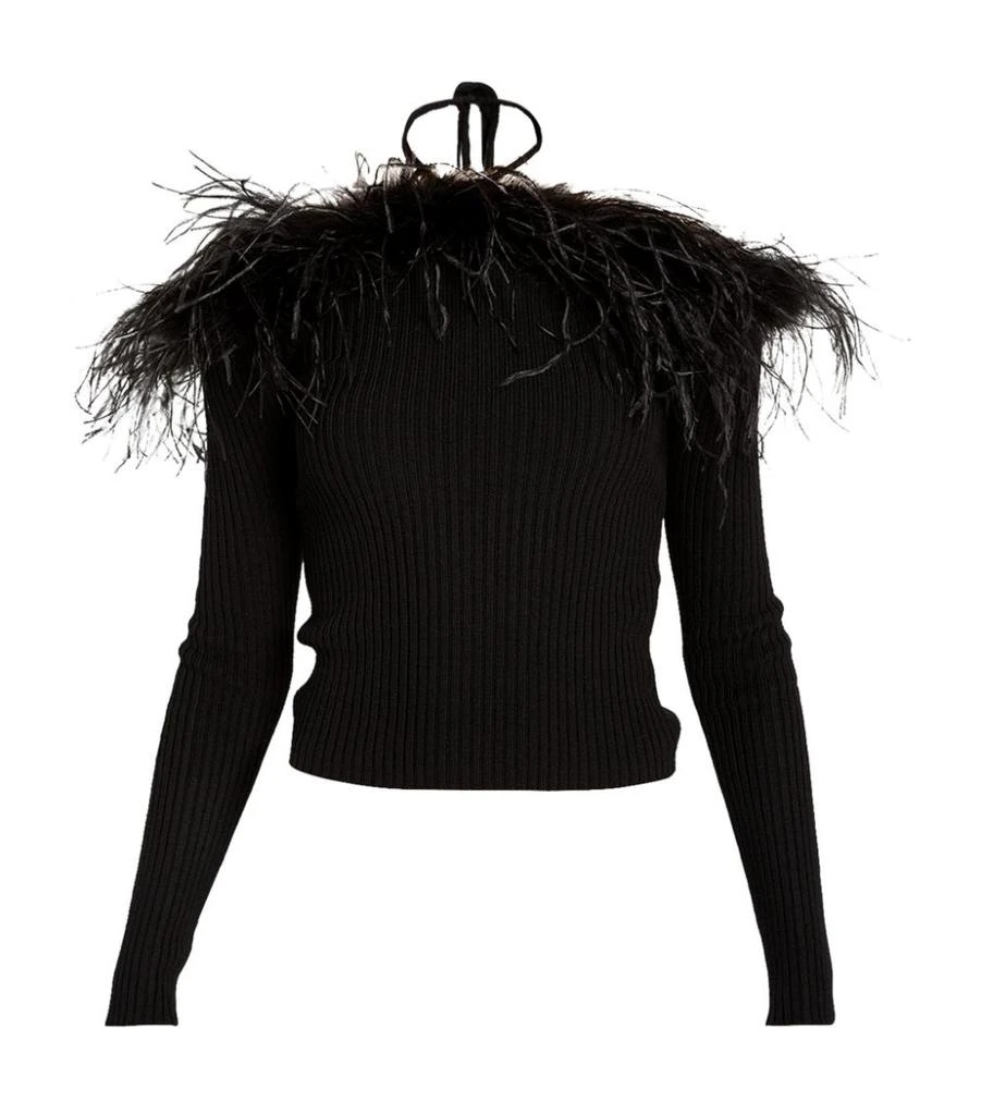 商品GIUSEPPE DI MORABITO|Feather-Trimmed Off-The-Shoulder Sweater,价格¥4980,第1张图片