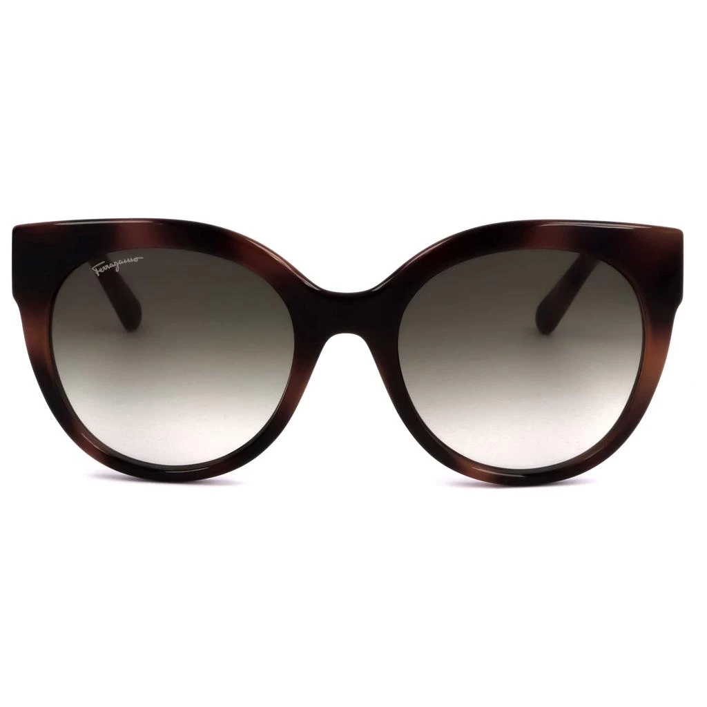 商品Salvatore Ferragamo|Ferragamo Women's Sunglasses SF1031S-214,价格¥525,第3张图片详细描述