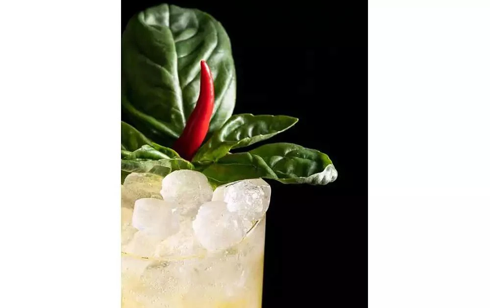 商品Barnes & Noble|Black Mixcellence: A Comprehensive Guide To Black Mixology (A Cocktail Recipe Book, Classic Cocktails, And Mixed Drinks) by Tamika Hall,价格¥224,第3张图片详细描述