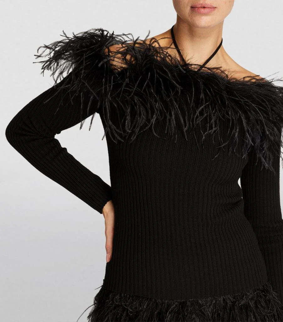 Feather-Trimmed Off-The-Shoulder Sweater 商品