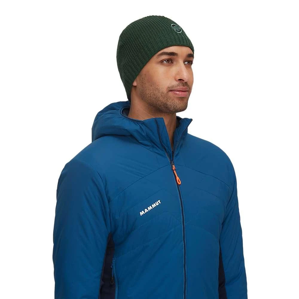 商品Mammut|Mammut Sublime Beanie,价格¥289,第2张图片详细描述