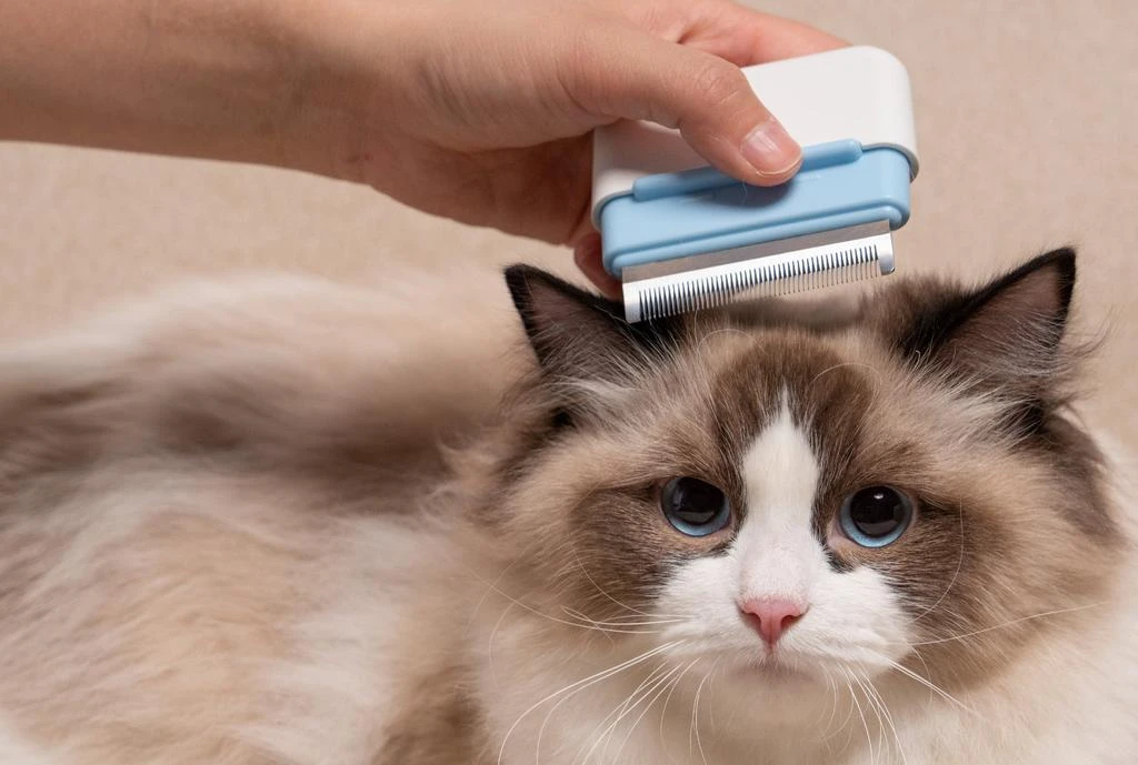 'Zipocket' 2-in-1 Underake and Stainless Steel Travel Grooming Pet Comb 商品