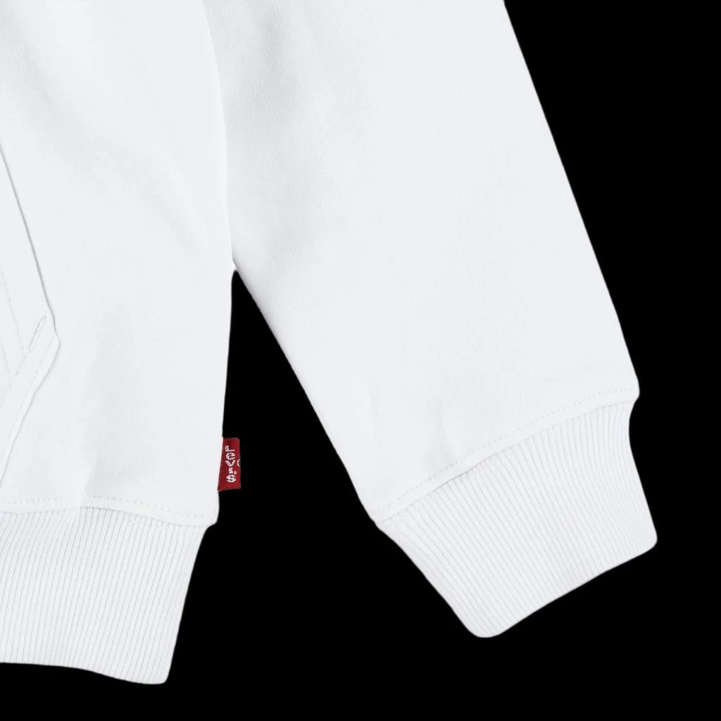商品Levi's|Boys Logo Pullover Hoodie,价格¥38,第4张图片详细描述