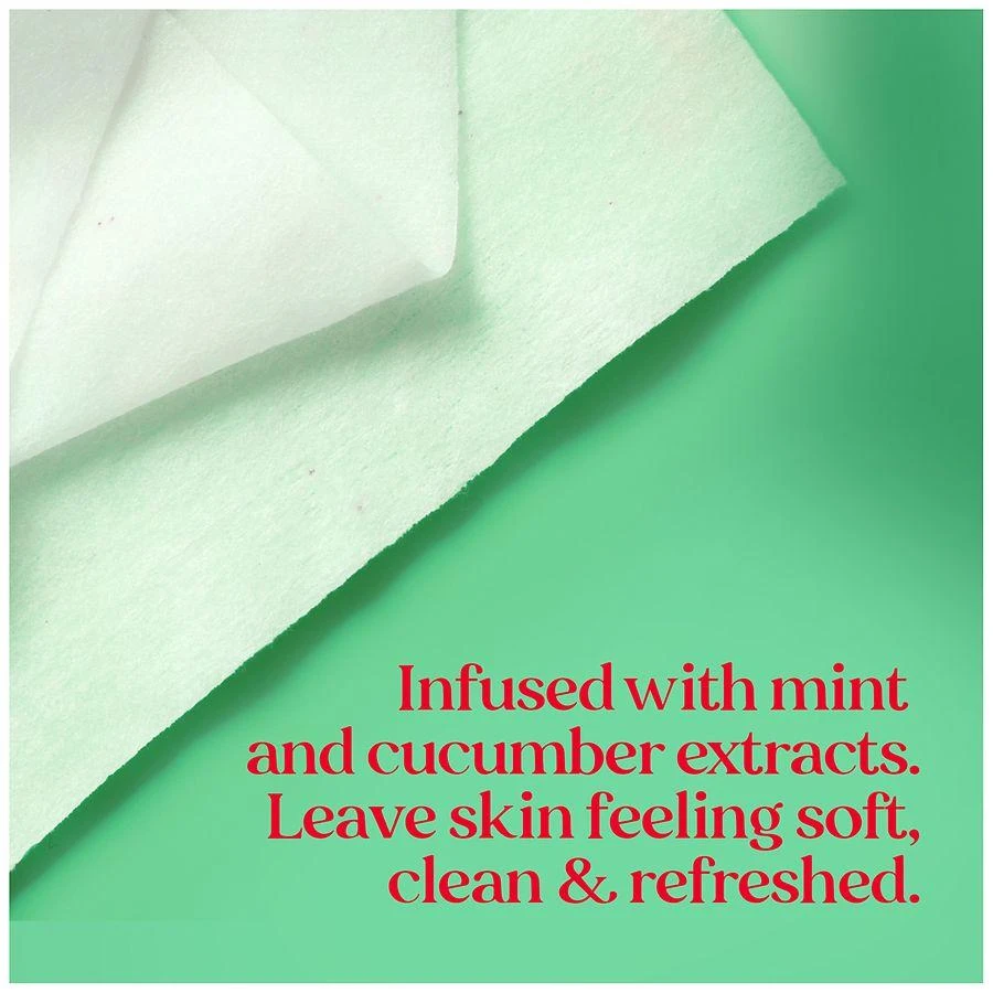 Refreshing Cucumber + Mint, 2-in-1 Pre-Moistened Towelettes Cucumber and Mint 商品