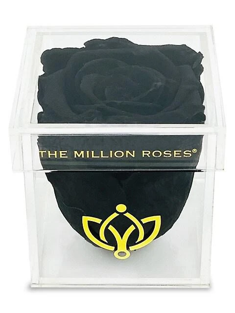 商品The Million Roses|Black Rose In Single Rose Box,价格¥443,第1张图片