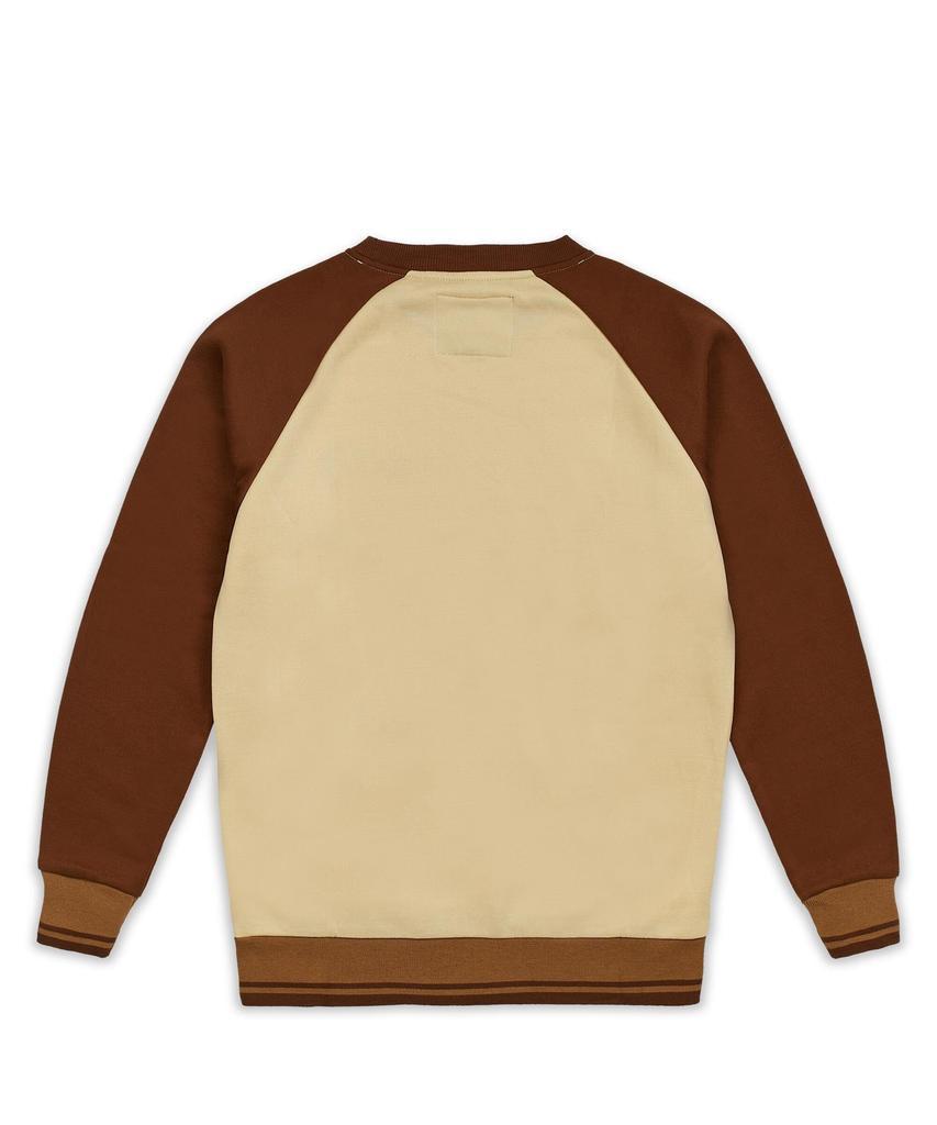 商品Reason Clothing|Nash Fleece Colorblocked Crewneck - Brown,价格¥289,第6张图片详细描述