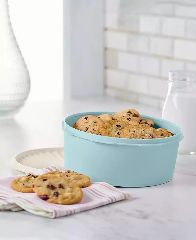 商品Tupperware|Heritage 7.5 Cup Vintage Cookie Canister,价格¥150,第2张图片详细描述