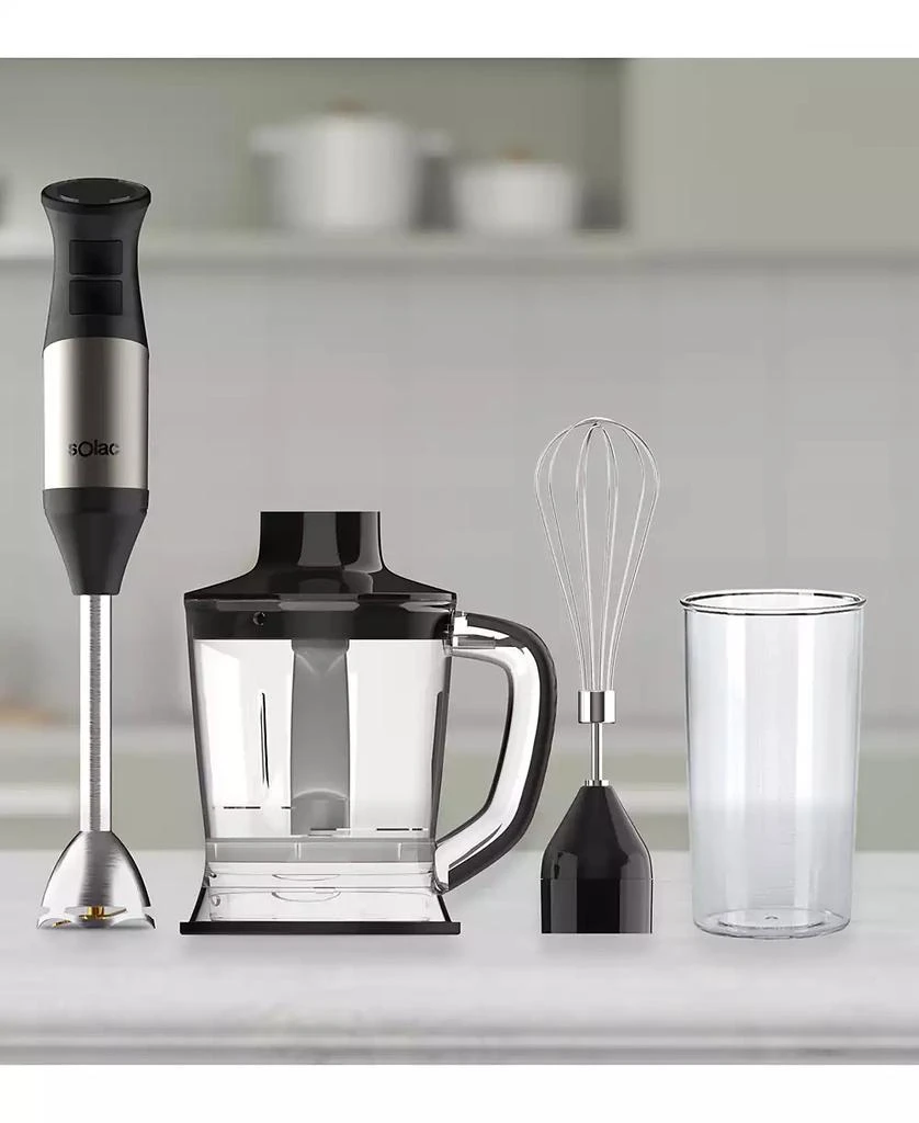 Professional Stainless Steel 1000W Hand Blender 商品