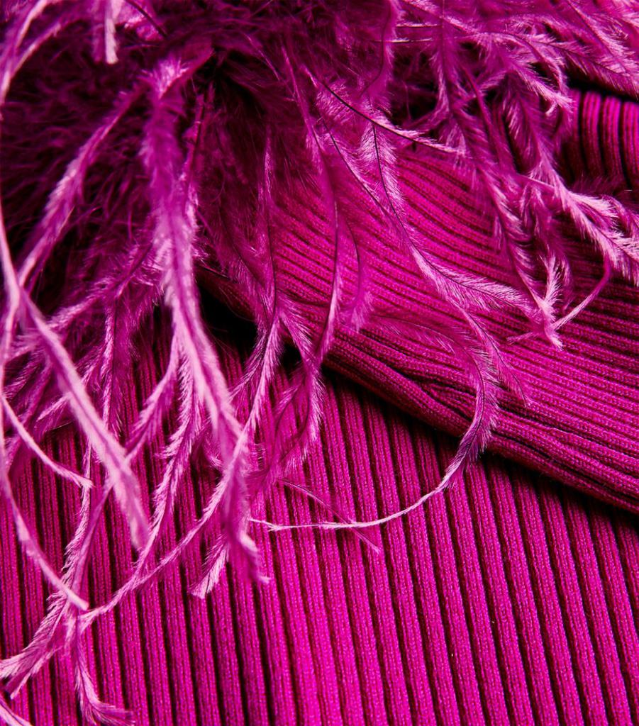 Wool Feather-Trimmed Sweater商品第5张图片规格展示