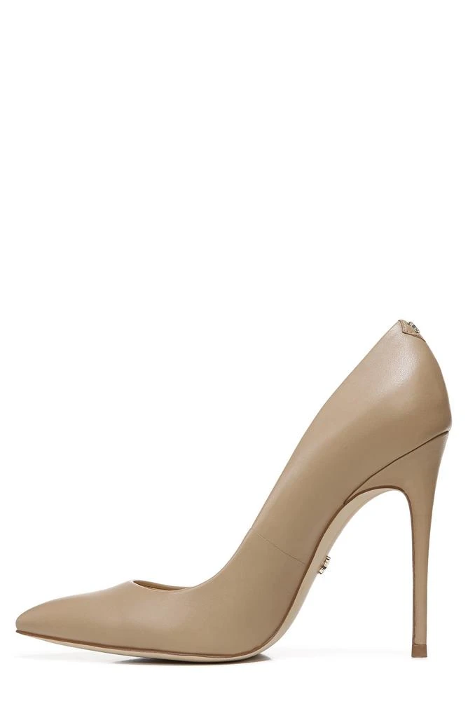Danna Pointed Toe Pump 商品
