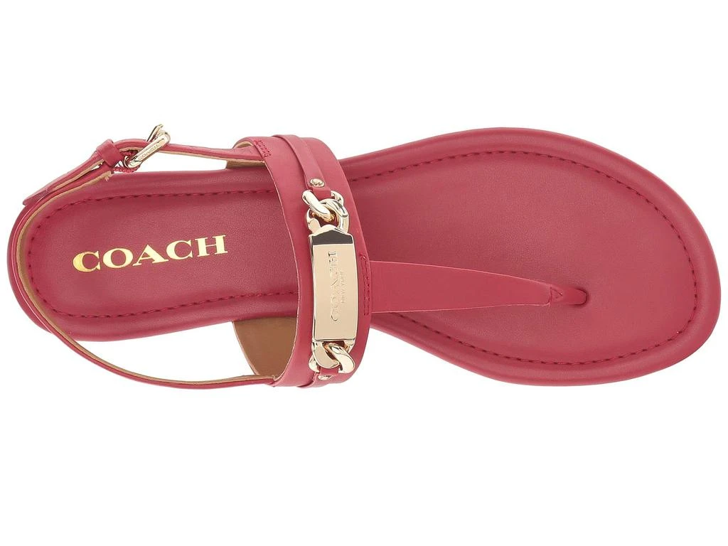 商品Coach|Caterine Sandal,价格¥501,第2张图片详细描述