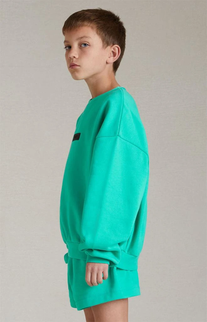 商品Essentials|Essentials Mint Leaf Crew Neck Sweatshirt,价格¥251,第2张图片详细描述