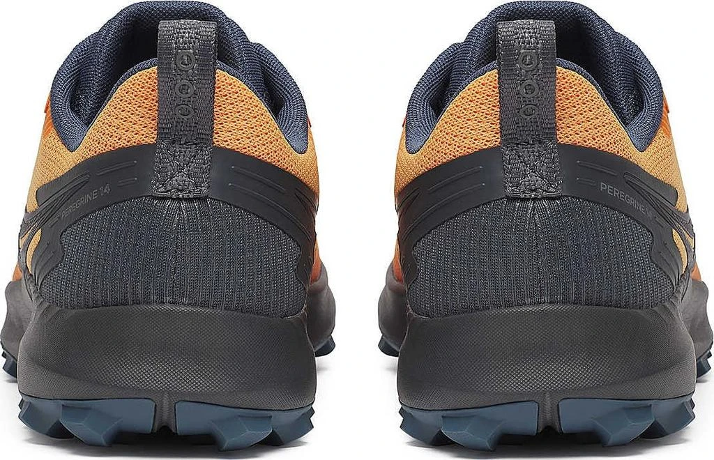 Peregrine 14 Gtx Shoes - Men's 商品