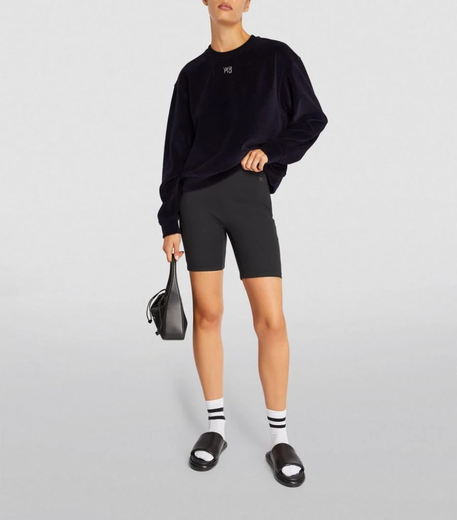 商品Alexander Wang|Velour Logo Sweatshirt,价格¥2466,第2张图片详细描述