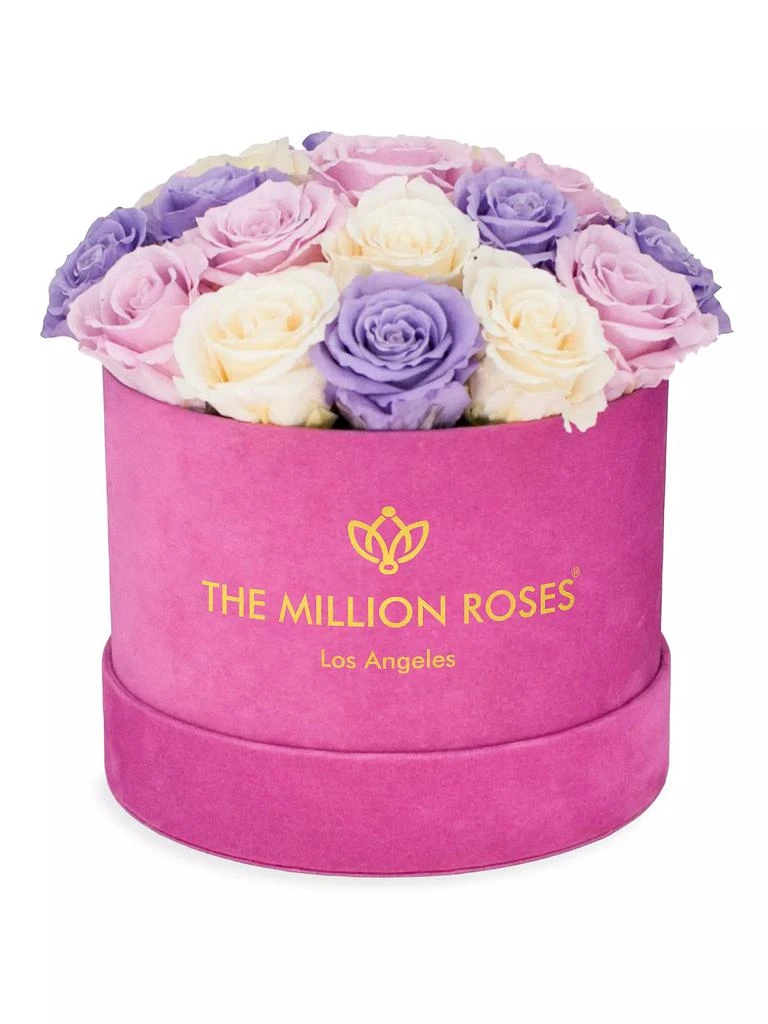 商品The Million Roses|Classic Roses In Hot Pink Suede Dome Box,价格¥2960,第1张图片