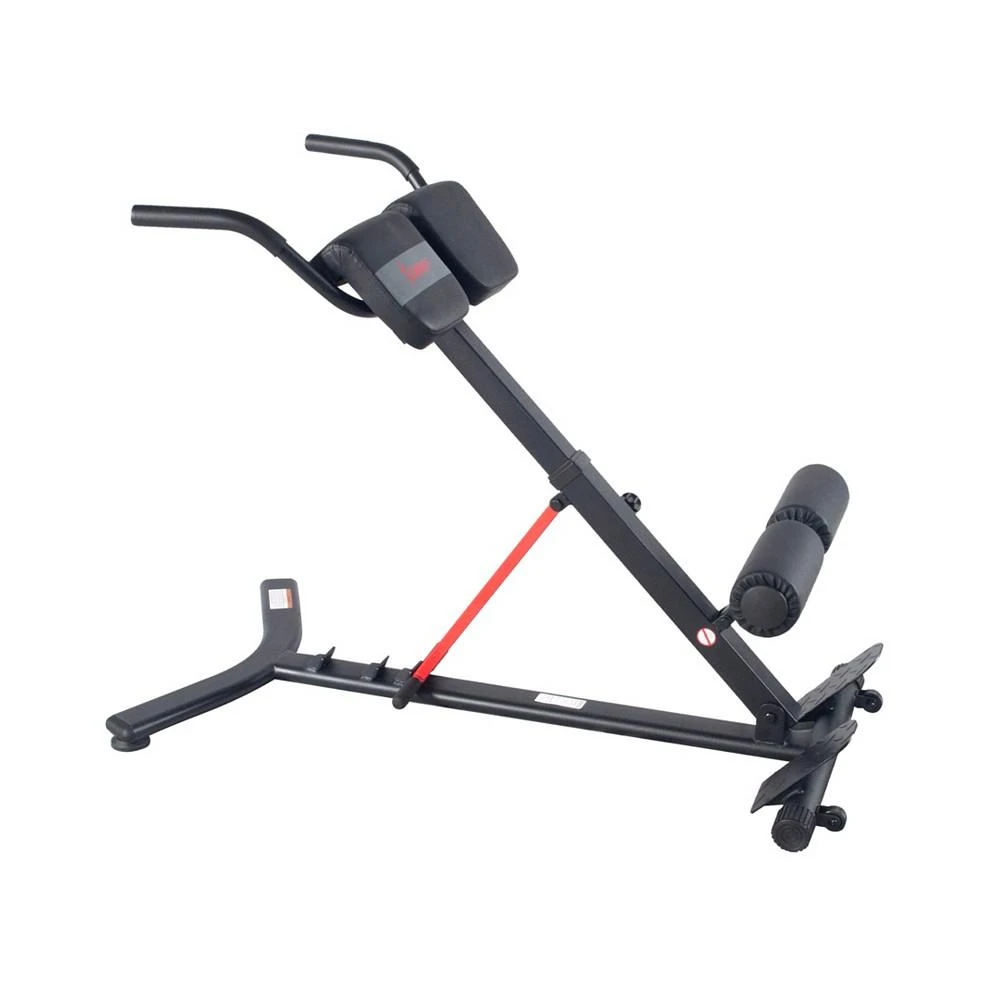 Hyperextension Roman Chair with Dip Station - SF-BH620062 商品