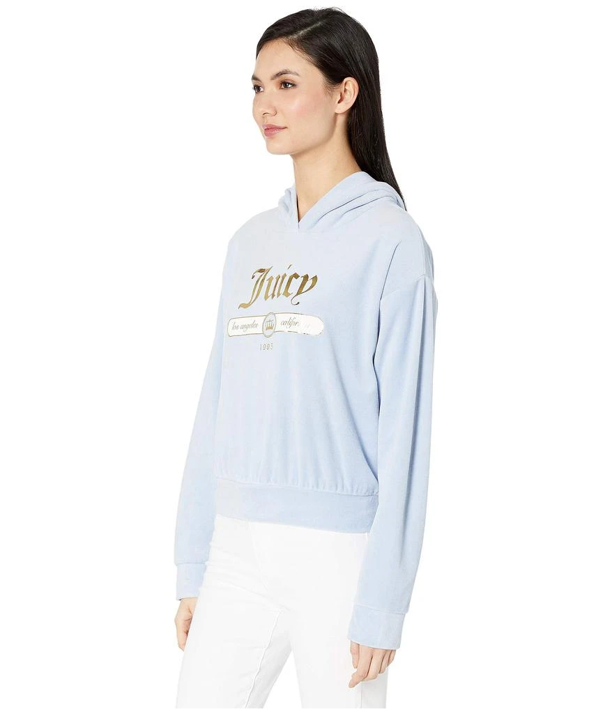 商品Juicy Couture|Juicy Emblem Velour Logo Hooded Pullover,价格¥169,第2张图片详细描述