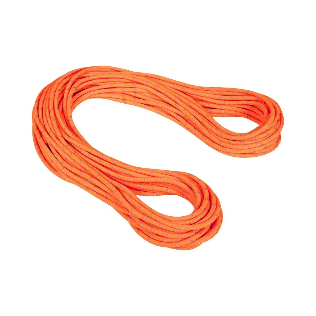 商品Mammut|MAMMUT - 9.5 ALPINE DRY ROPE - 60m - Safety Orange-Zen,价格¥1911,第1张图片