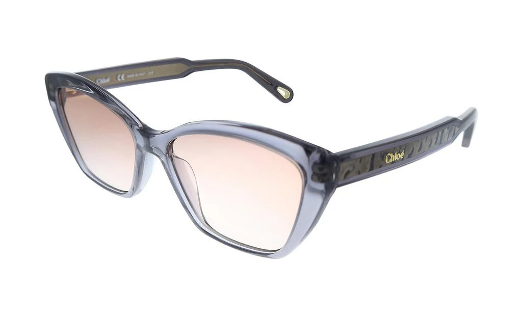 商品Chloé|Chloe CE760S Grey Rectangle Sunglasses,价格¥792,第2张图片详细描述
