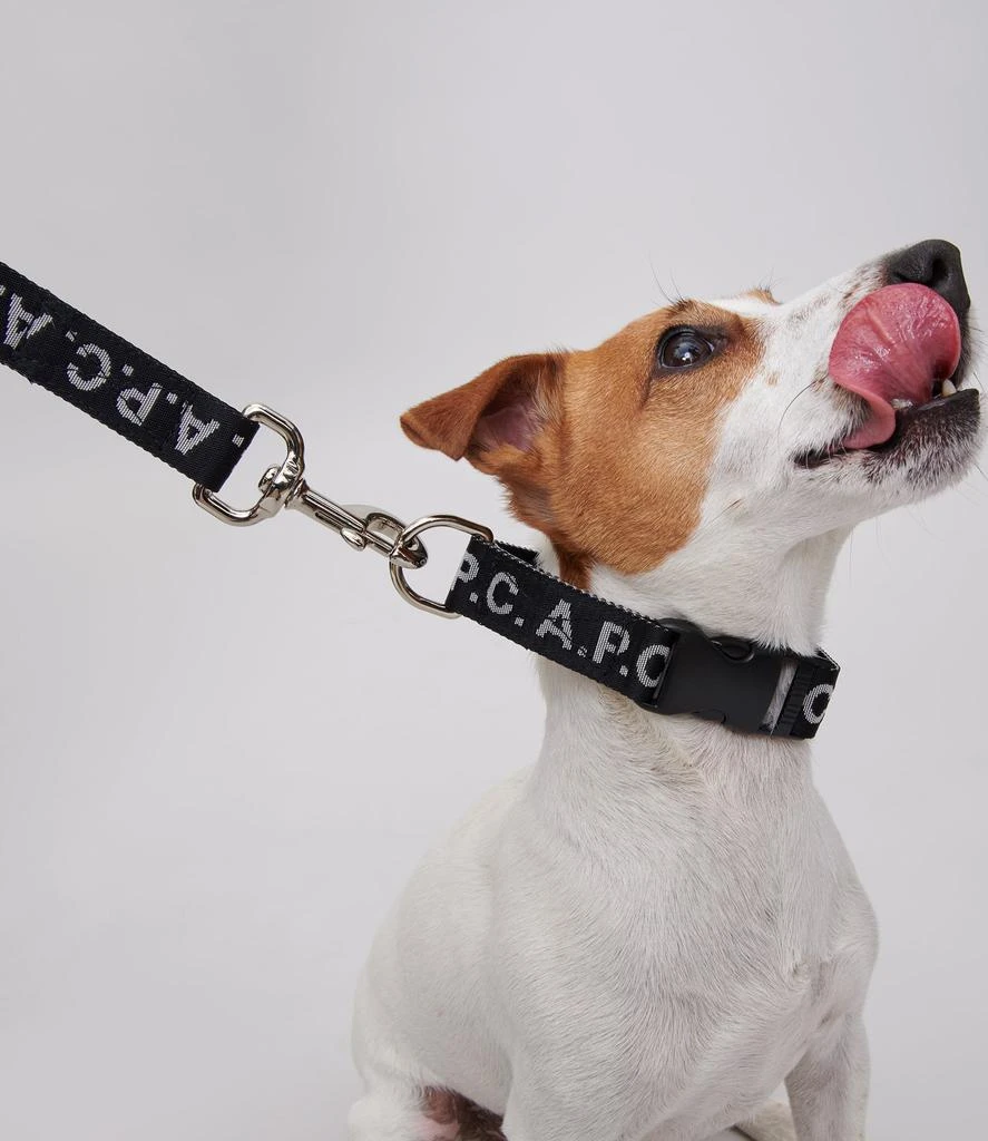 商品Toutou|Toutou Logo leash,价格¥1417,第2张图片详细描述