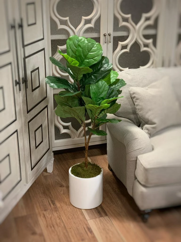 商品Creative Displays|Fiddle Leaf Tree,价格¥1717,第2张图片详细描述