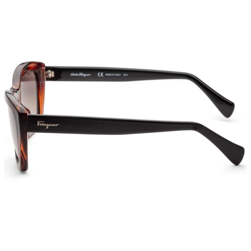 商品Salvatore Ferragamo|Ferragamo Women's Brown Cat-Eye Sunglasses,价格¥521,第2张图片详细描述
