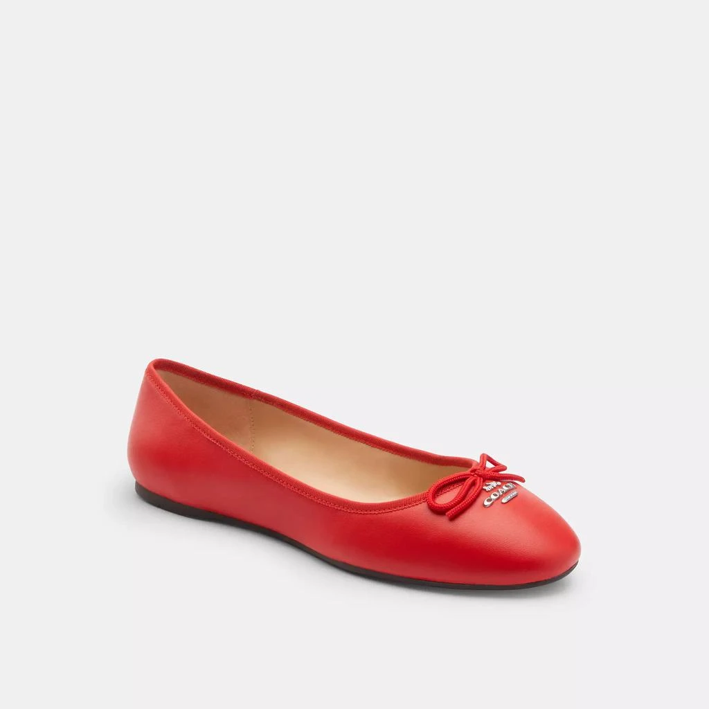 Alina Ballet 商品