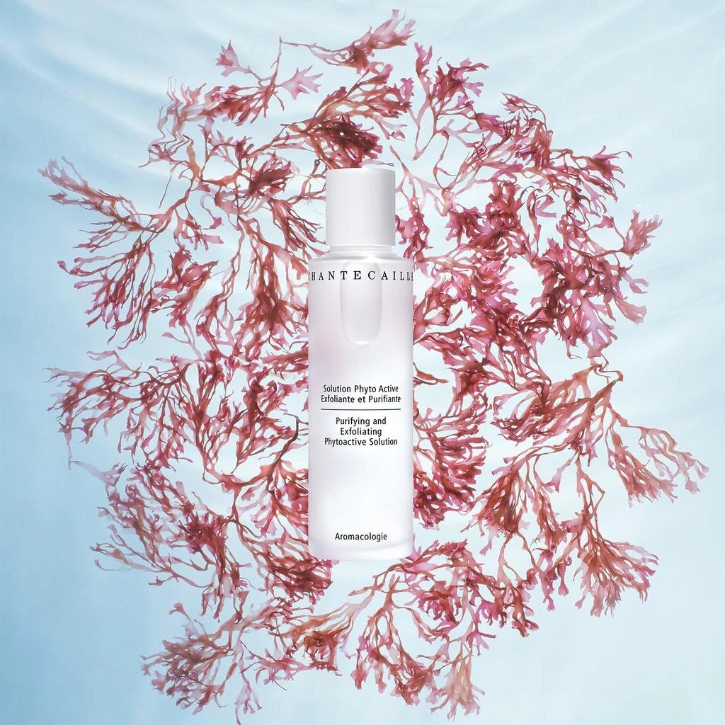 商品Chantecaille|Chantecaille Purifying and Exfoliating Phytoactive Solution 100ml,价格¥806,第3张图片详细描述
