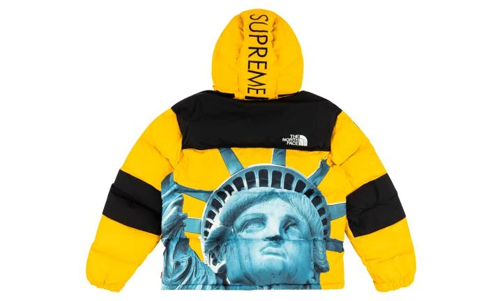 商品Supreme|Supreme TNF Baltoro,价格¥9631-¥9975,第4张图片详细描述