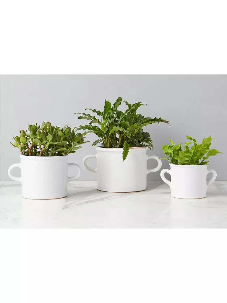 商品etúHome|Small Terracotta Olive Jar Planter,价格¥523,第5张图片详细描述