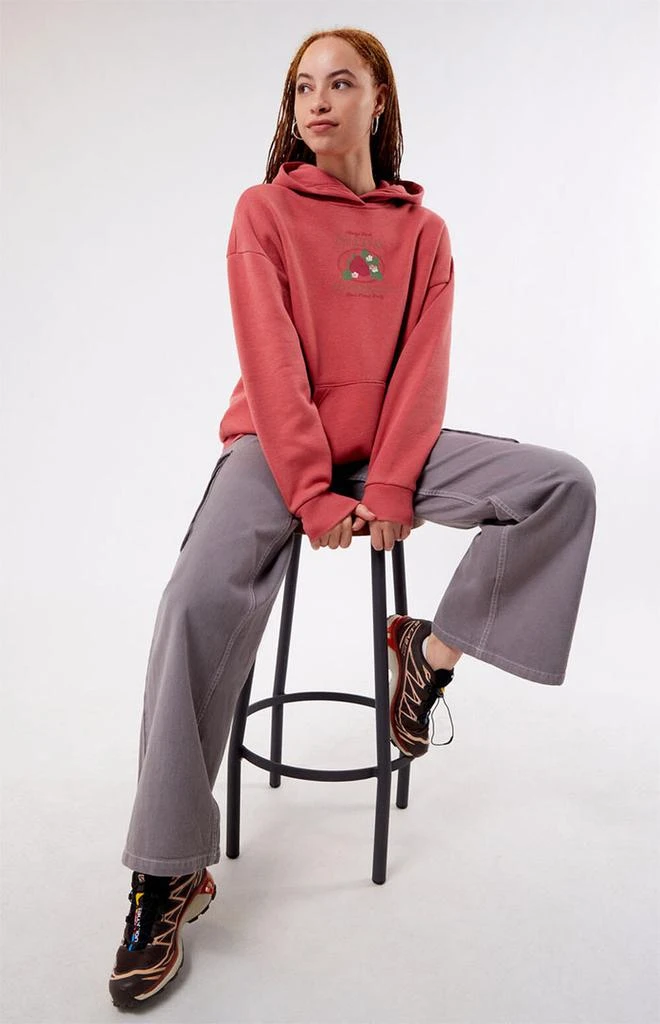 商品PacSun|Delicious Strawberries Hoodie,价格¥364,第3张图片详细描述