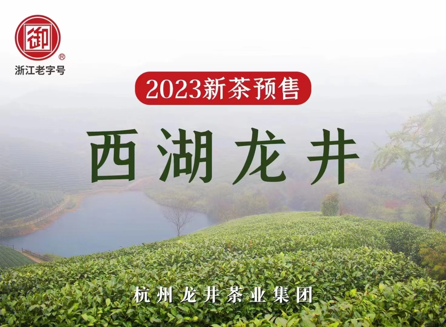 浙江老字号”御“龙井明前茶西湖梅家坞产区  五星250克  商品