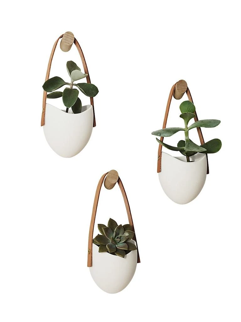 商品Light + Ladder|Spora 3-Piece Hanger & Hooks Set,价格¥1387,第1张图片