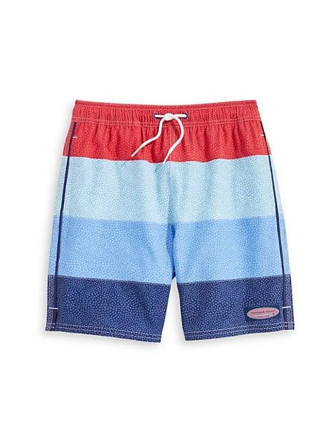 商品Vineyard Vines|Little Boy's &amp; Boy's Paneled Chappy Swim Trunks,价格¥222,第1张图片