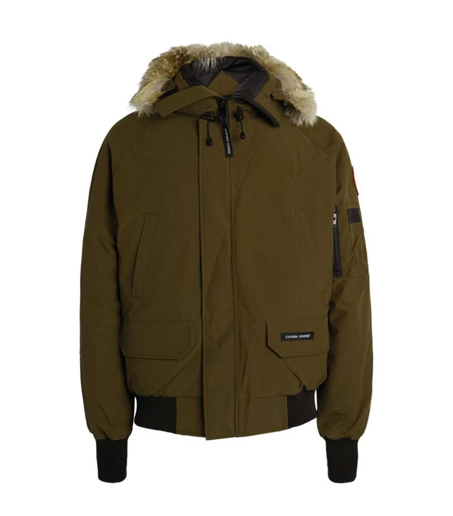 商品Canada Goose|Chilliwack Bomber Jacket,价格¥7871,第1张图片